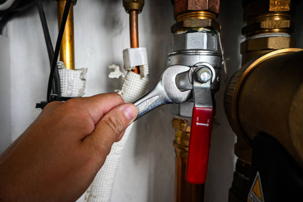 Best Local Plumber Services  in Berino, NM